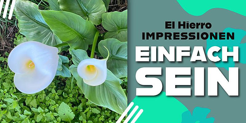 Wir möchten dich für ein paar Minuten in die zauberhafte Welt der Details entführen. Die Impressionen in diesem kleinen Video stammen von unsrer Finca und von der kleinen Atlantikinsel El Hierro. Du darfst einfach nur Schauen.