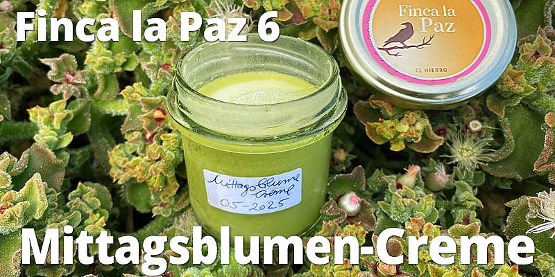 Wir zeigen wie wir die Blätter der Mittagsblume verarbeiten. Was die Herstellung einer Creme angeht stehen wir mit unseren Erfahrungen noch ganz am Anfang und deshalb geht auch nicht immer alles glatt, wie in diesem Video zu sehen ist.