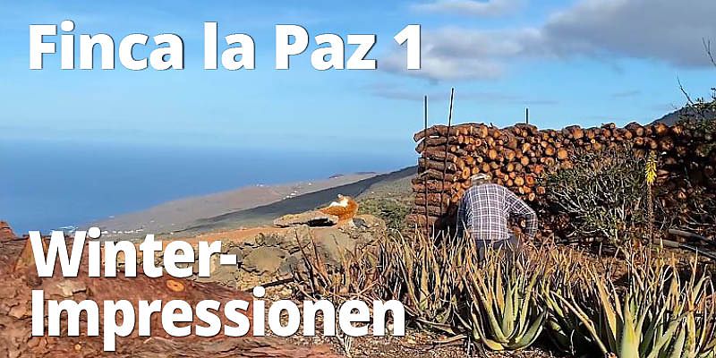 Finca La Paz 1 - Teilnehmen am Alltag auf der Finca. Es beginnt mit ein paar Winterimpressionen aus dem Januar 2025.